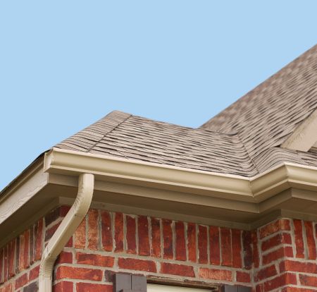 Why Gutter Cleaning Helps Protect Your Home From Water Damage