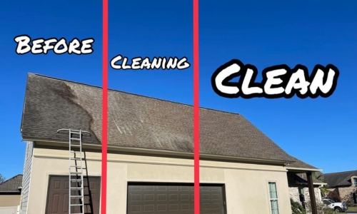 Roof Cleaning